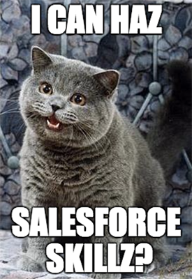 Cat with Salesforce skills
